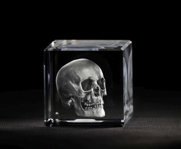 Skalle 3D Kristall skapad av Crafted In Crystal