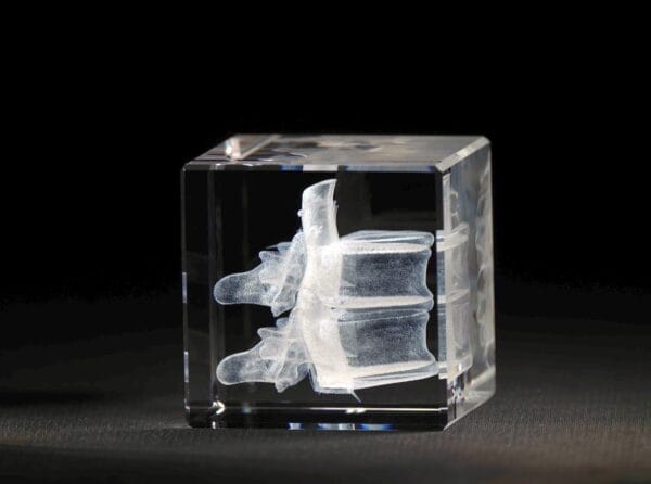 Ryggrad vertebra 3D Kristall skapad av Crafted In Crystal