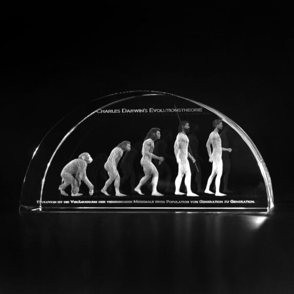 Darwin evolution