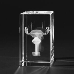 Underliv kvinna 3D Kristall skapad av Crafted In Crystal