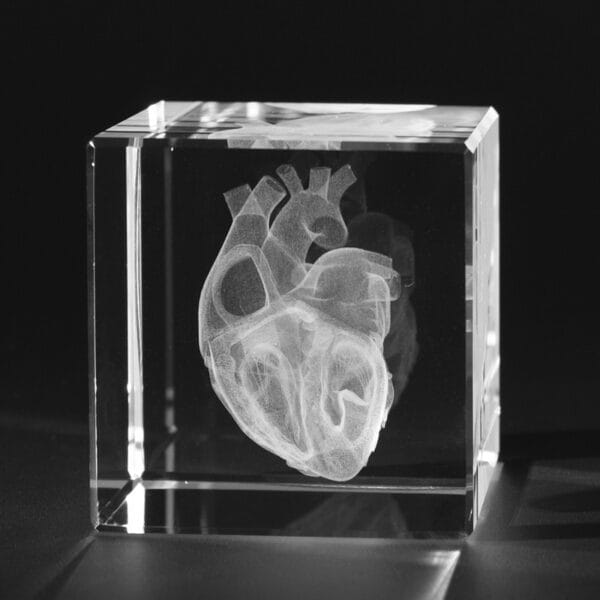 Hjärta öppet 3D Kristall skapad av Crafted In Crystal