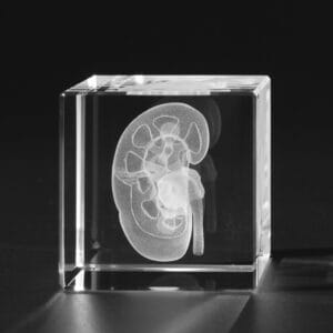 Njure 3D Kristall skapad av Crafted In Crystal