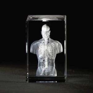 Överkropp 3D Kristall skapad av Crafted In Crystal