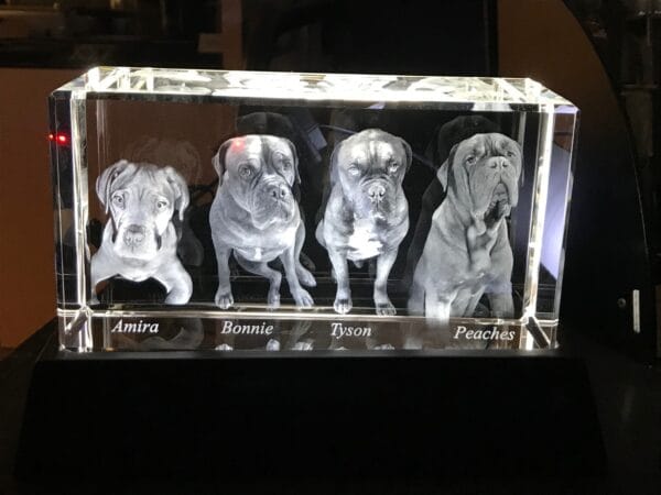 3D-laserfoto i XXL kristallglas (200x105x80)