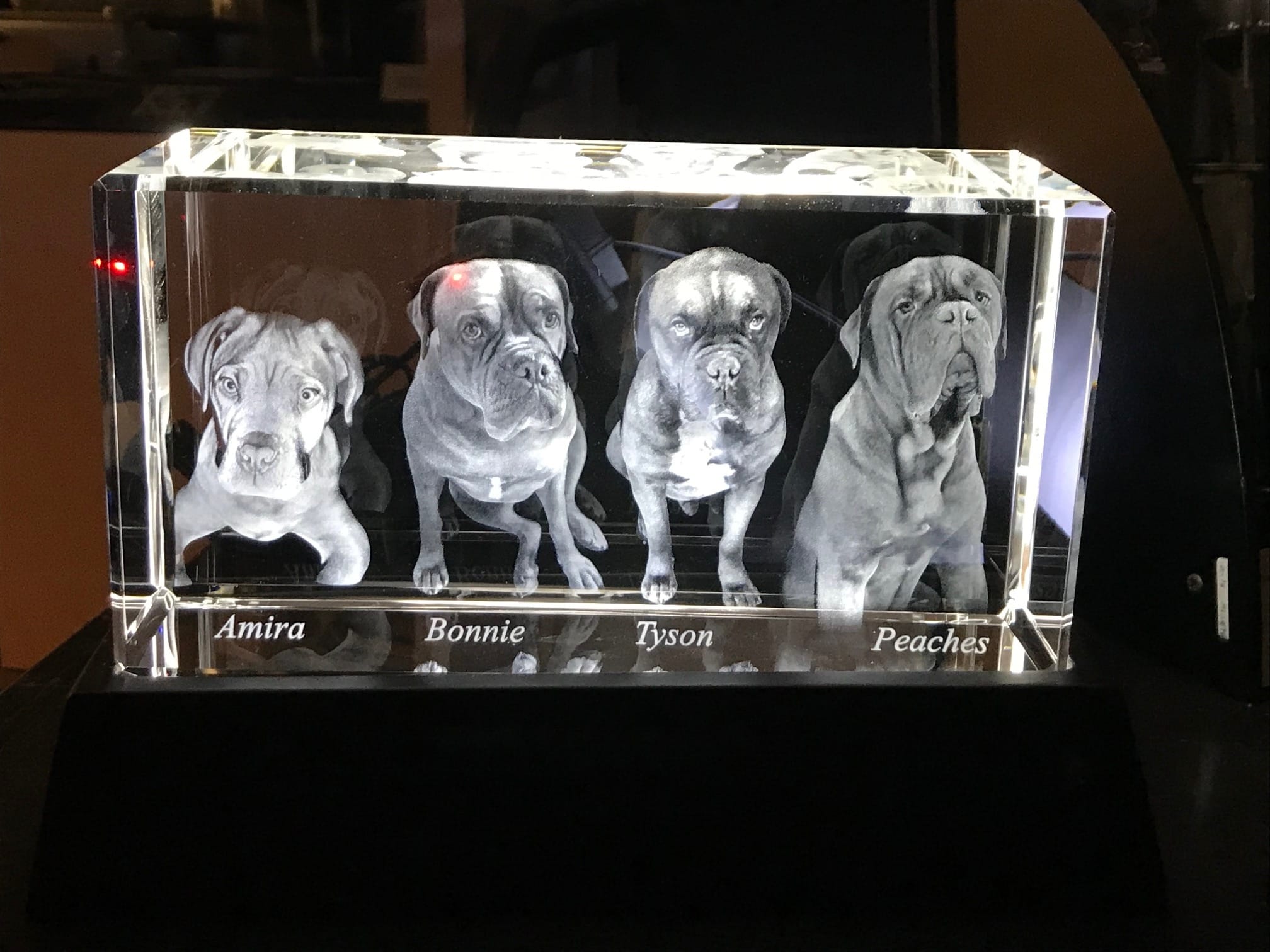 3D-laserfoto i XXL kristallglas (200x105x80)