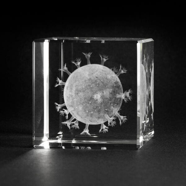 HIV virus