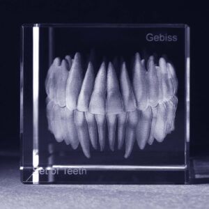 Tänder 3D Kristall anatomi motiv