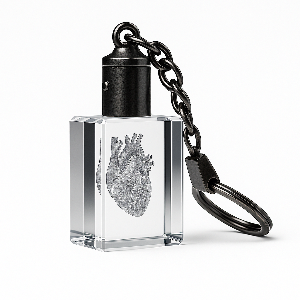 3D Kristallnyckelring anatomi hjärta